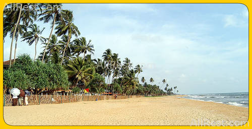 Tangerine Beach Hotel 2